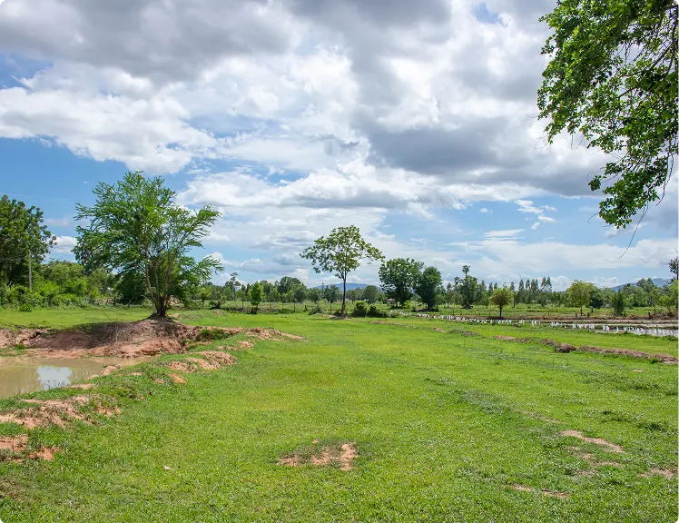 vacant land monitoring featured img